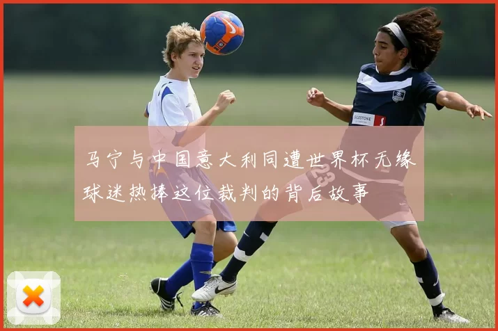马宁与中国意大利同遭世界杯无缘球迷热捧这位裁判的背后故事